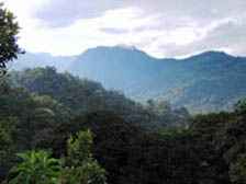 san jorge de tandayapa  quito ecuador birding